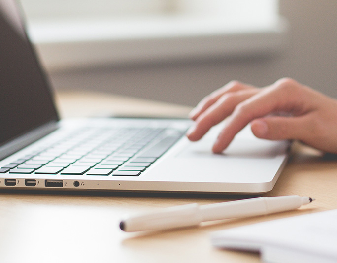 快速的尋獵反應